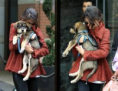 /album/selena%20posta%20foto%20com%20seus%20cachorros%20%26%20de%20f%c3%a3s%20no%20instagram/l-png/