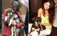 /album/selena%20posta%20foto%20com%20seus%20cachorros%20%26%20de%20f%c3%a3s%20no%20instagram/r-png/
